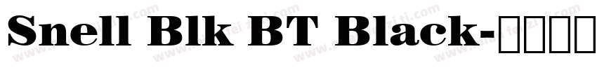 Snell Blk BT Black字体转换